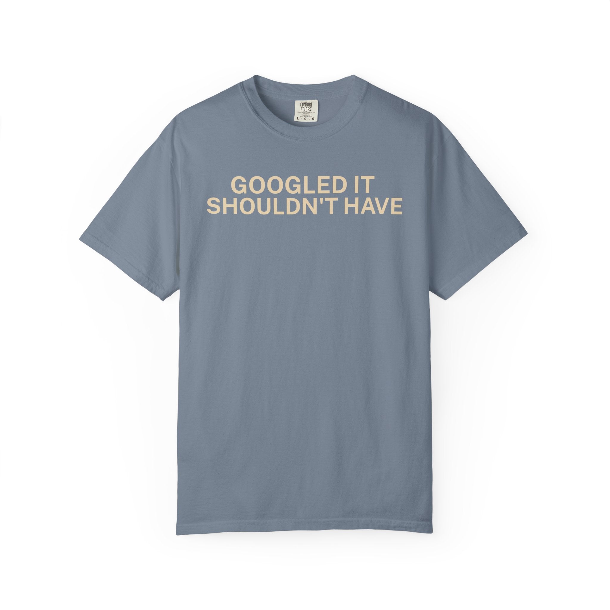Google it shouldn't Have T-Shirt
