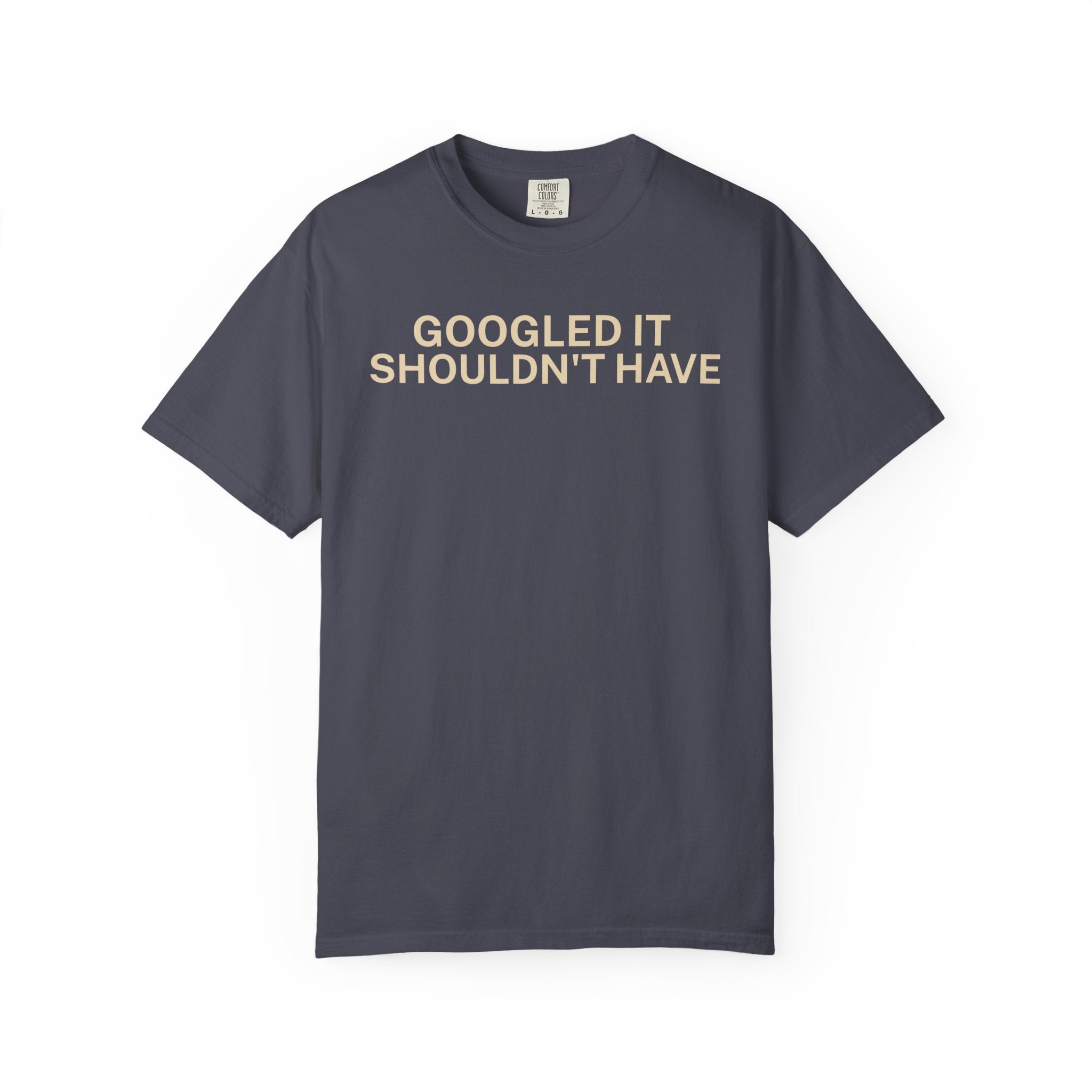 Google it shouldn't Have T-Shirt