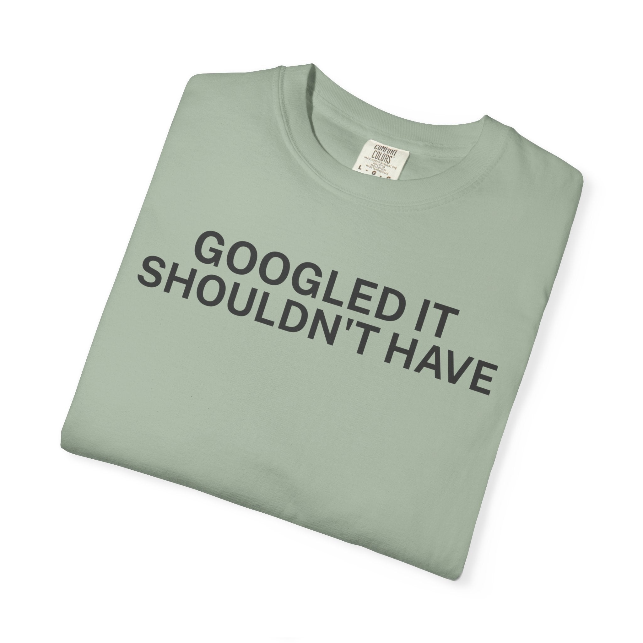 Google it shouldn't Have T-Shirt