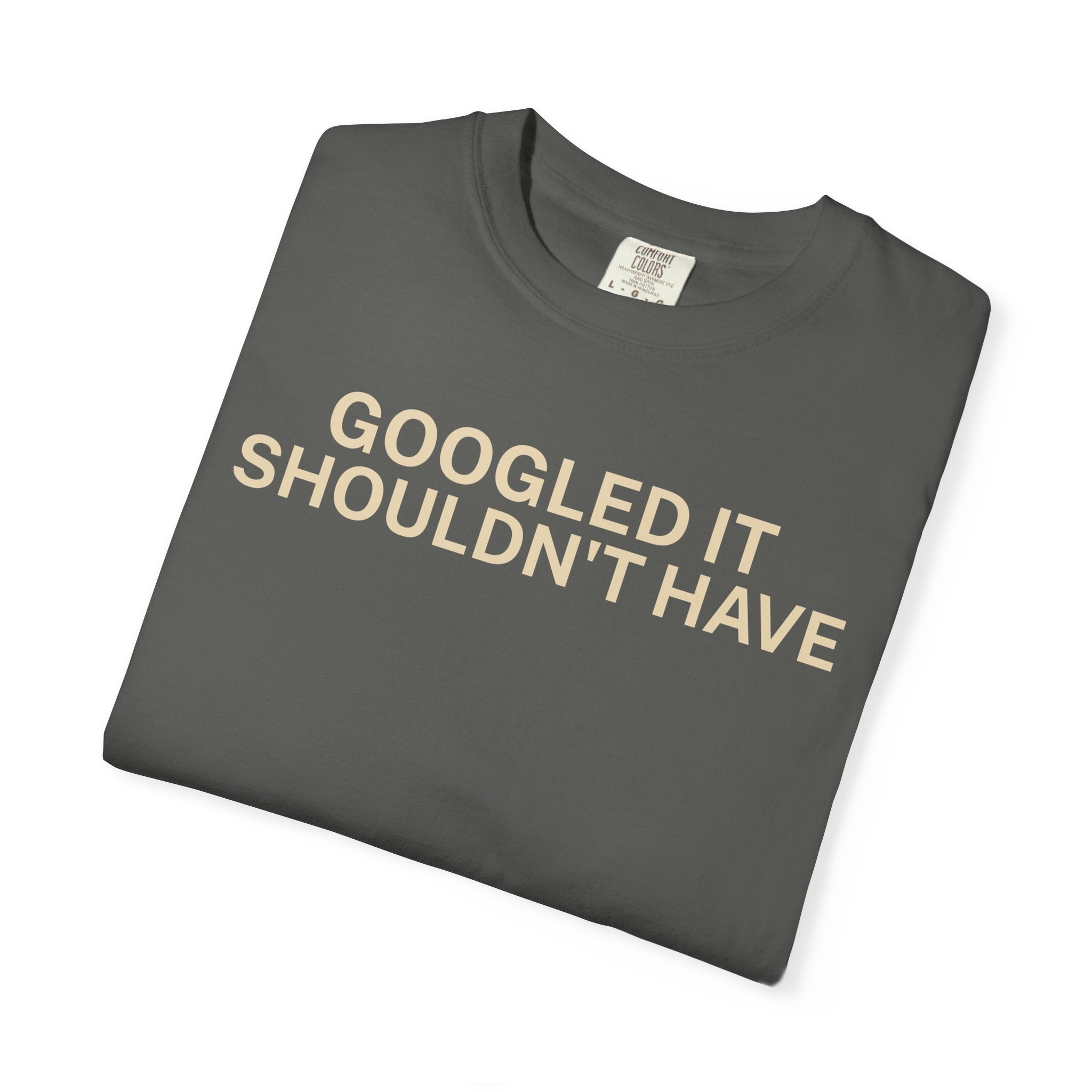 Google it shouldn't Have T-Shirt