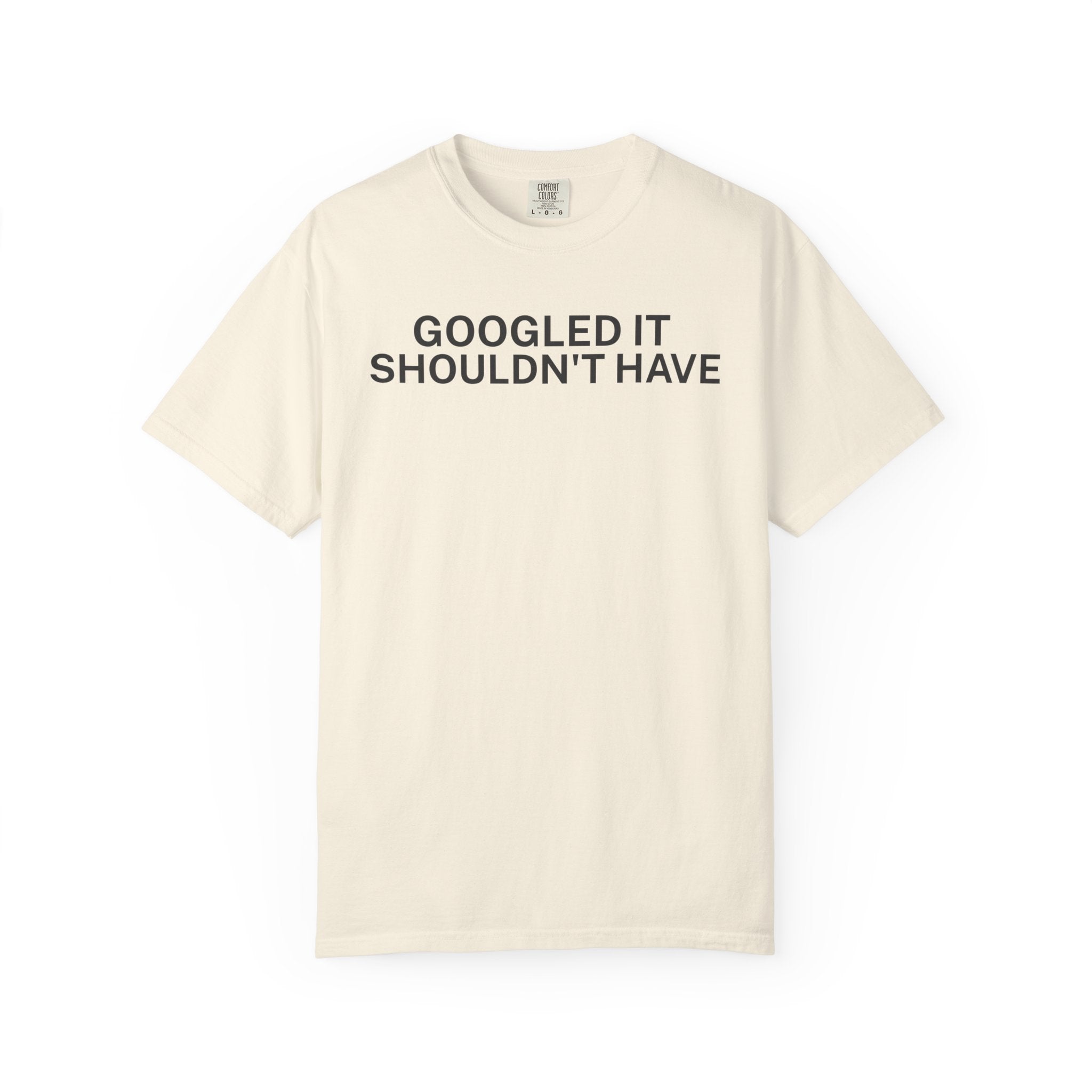 Google it shouldn't Have T-Shirt