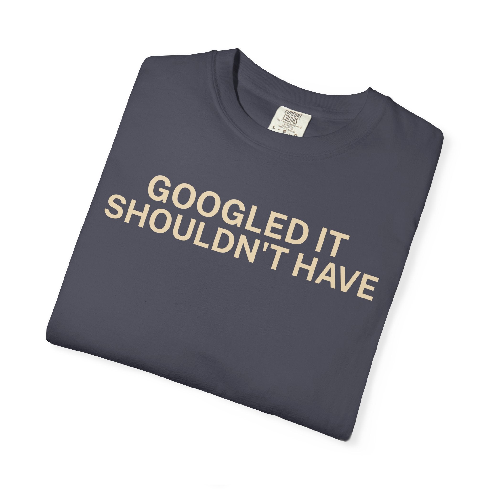 Google it shouldn't Have T-Shirt
