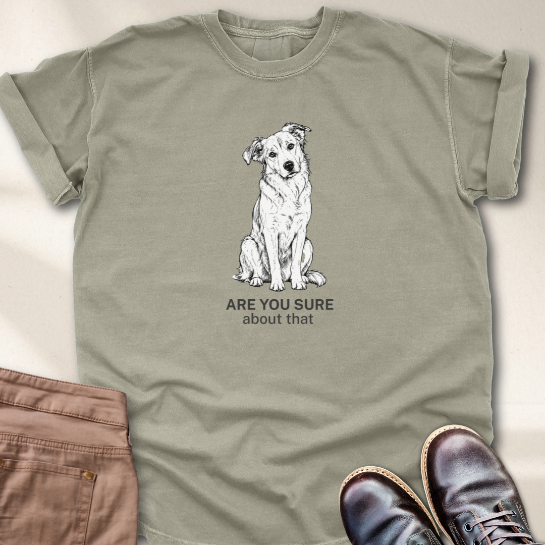 Are You Sure about That T-Shirt