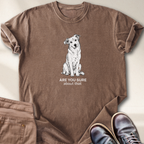 Are You Sure about That T-Shirt